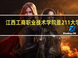 江西工商职业技术学院是211大学吗