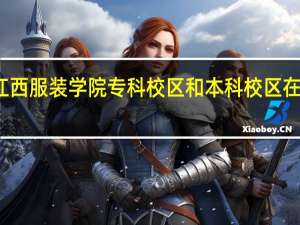 江西服装学院专科校区和本科校区在一起吗