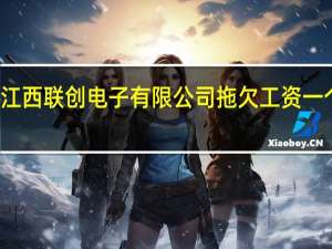 江西联创电子有限公司拖欠工资一个月了