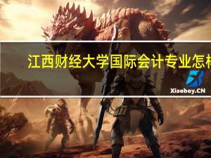 江西财经大学国际会计专业怎样