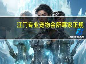 江门专业宠物会所哪家正规