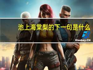 池上海棠梨的下一句是什么