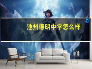 池州德明中学怎么样