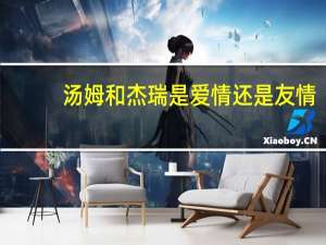 汤姆和杰瑞是爱情还是友情