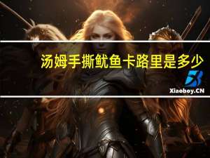 汤姆 手撕鱿鱼卡路里是多少