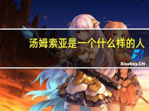 汤姆索亚是一个什么样的人？