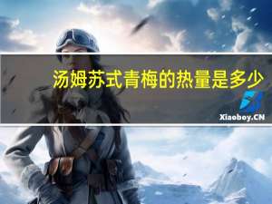 汤姆 苏式青梅的热量是多少