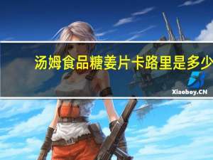 汤姆食品 糖姜片卡路里是多少