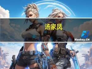 汤家凤（关于汤家凤的介绍）