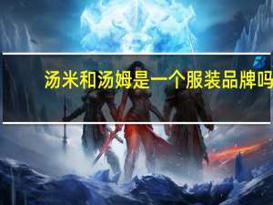 汤米和汤姆是一个服装品牌吗