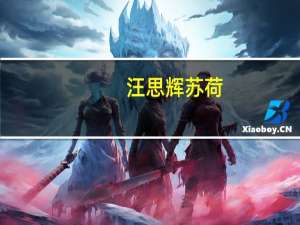 汪思辉苏荷（汪思辉）