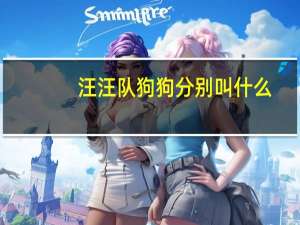 汪汪队狗狗分别叫什么