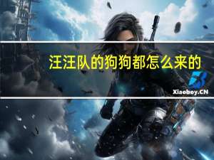 汪汪队的狗狗都怎么来的