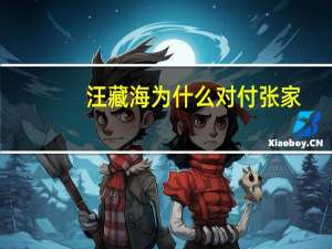 汪藏海为什么对付张家