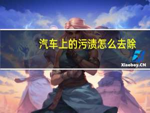 汽车上的污渍怎么去除