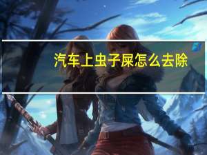 汽车上虫子屎怎么去除