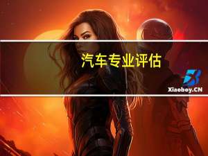 汽车专业评估