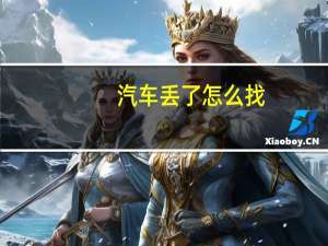 汽车丢了怎么找