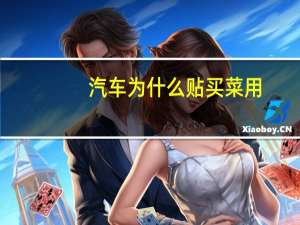 汽车为什么贴买菜用