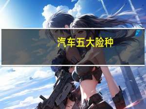 汽车五大险种