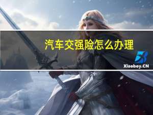 汽车交强险怎么办理