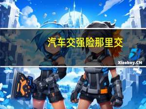 汽车交强险那里交