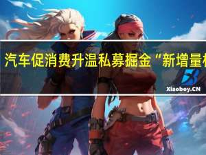 汽车促消费升温 私募掘金“新增量机会”