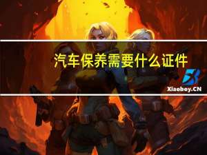 汽车保养需要什么证件