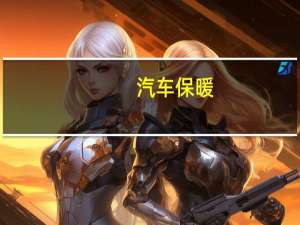 汽车保暖