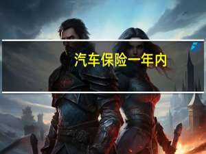 汽车保险一年内