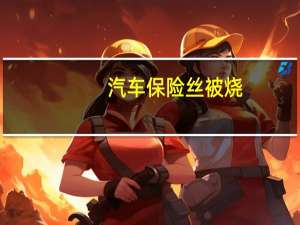 汽车保险丝被烧