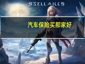 汽车保险买那家好