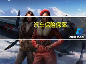 汽车保险保率