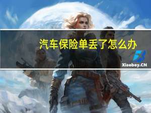 汽车保险单丢了怎么办