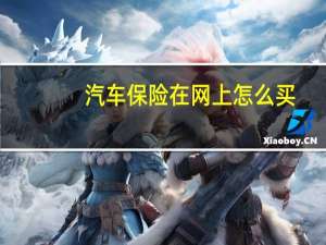 汽车保险在网上怎么买