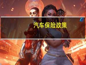 汽车保险政策