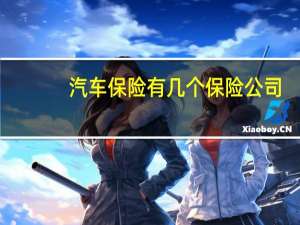 汽车保险有几个保险公司
