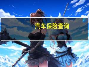 汽车保险查询