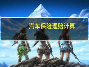 汽车保险理赔计算