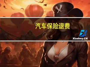 汽车保险退费