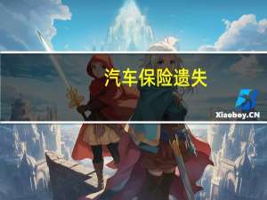 汽车保险遗失