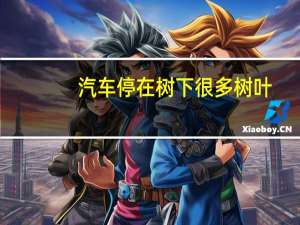 汽车停在树下很多树叶