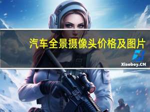 汽车全景摄像头价格及图片（汽车全景摄像头价格）