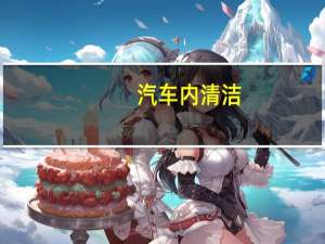 汽车内清洁