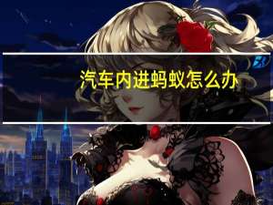 汽车内进蚂蚁怎么办