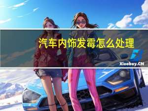 汽车内饰发霉怎么处理