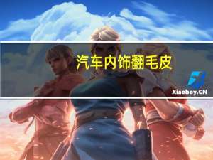 汽车内饰翻毛皮