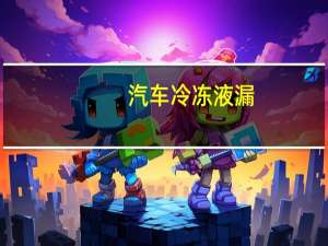 汽车冷冻液漏
