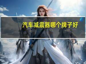 汽车减震器哪个牌子好