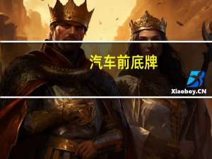 汽车前底牌